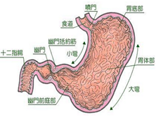 胃窦炎