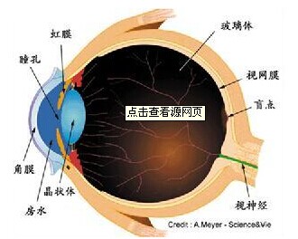 赖特综合征性巩膜炎