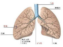 小儿毛细支气管炎