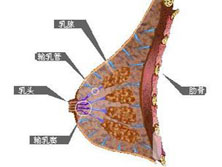 乳房疼痛