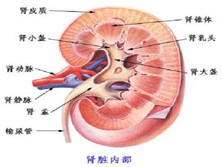 小儿药物性肾损害