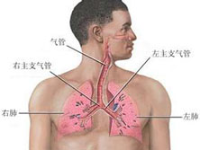 社会获得性肺炎