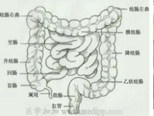 吸收不良综合征