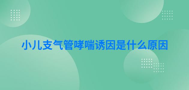 小儿支气管哮喘诱因是什么原因